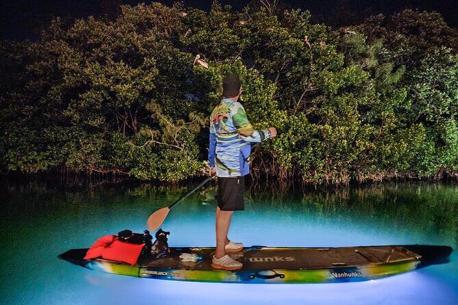 Anna Maria Island Paddleboard Tours - Experience Anna Maria Island Paddleboard Tours: A Unique Night Adventure