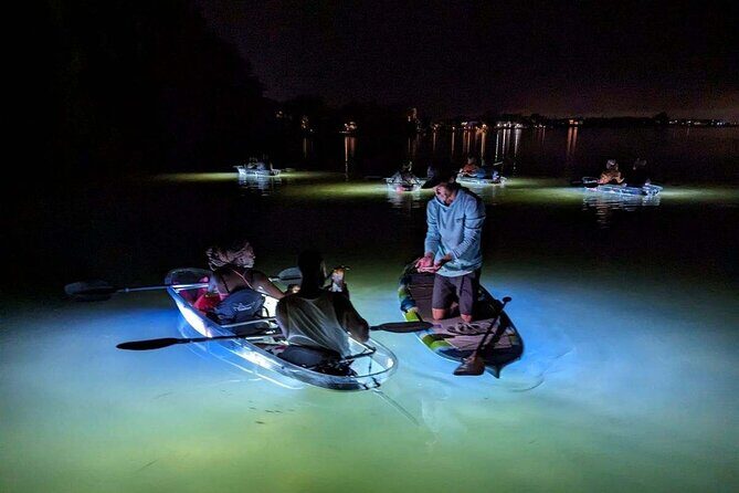 Anna Maria Island Paddleboard Tours - An In-Depth Look at Anna Maria Island Paddleboard Tours