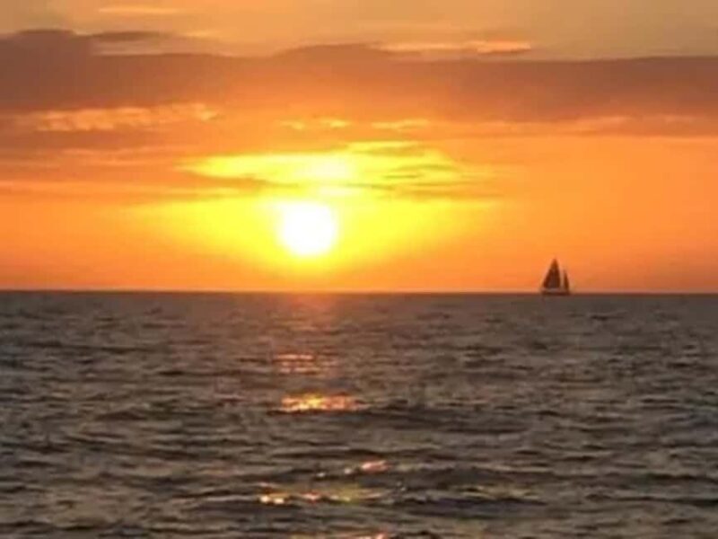 Anna Maria Island: Sunset Dolphin Cruise - Who Would Enjoy This Tour?