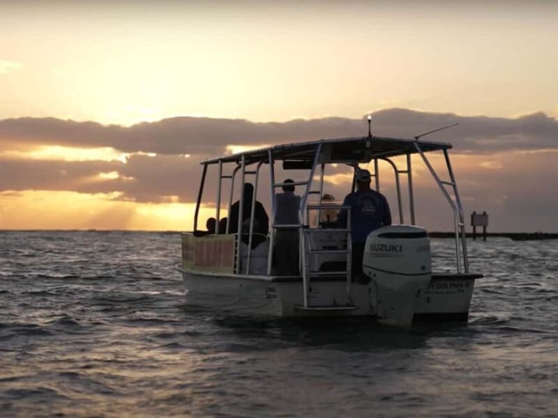 Anna Maria Island: Sunset Dolphin Cruise - FAQ