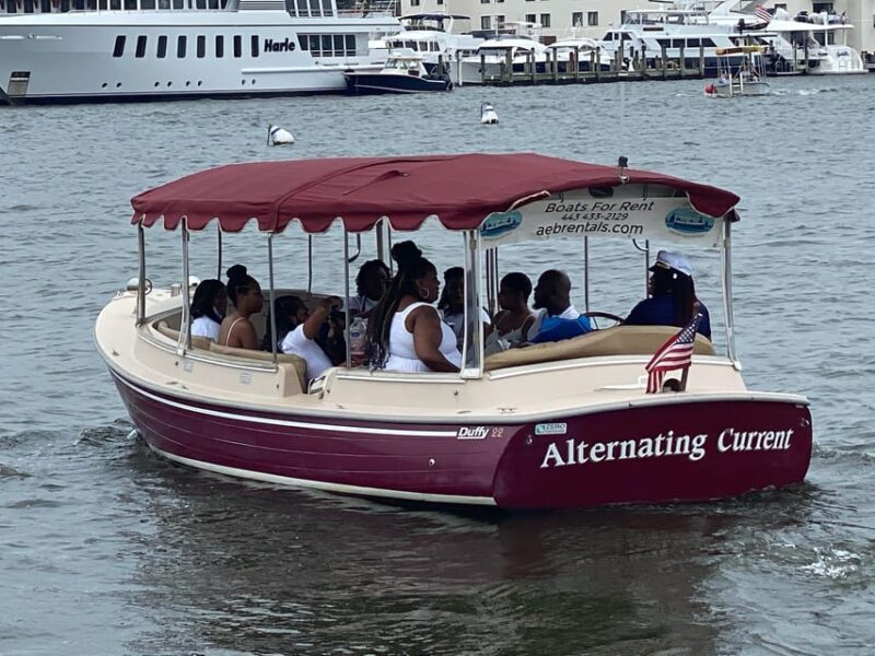 Annapolis: Electric Boat Rental - Duffy Sun Cruiser - 10ppl - A Closer Look at the Experience