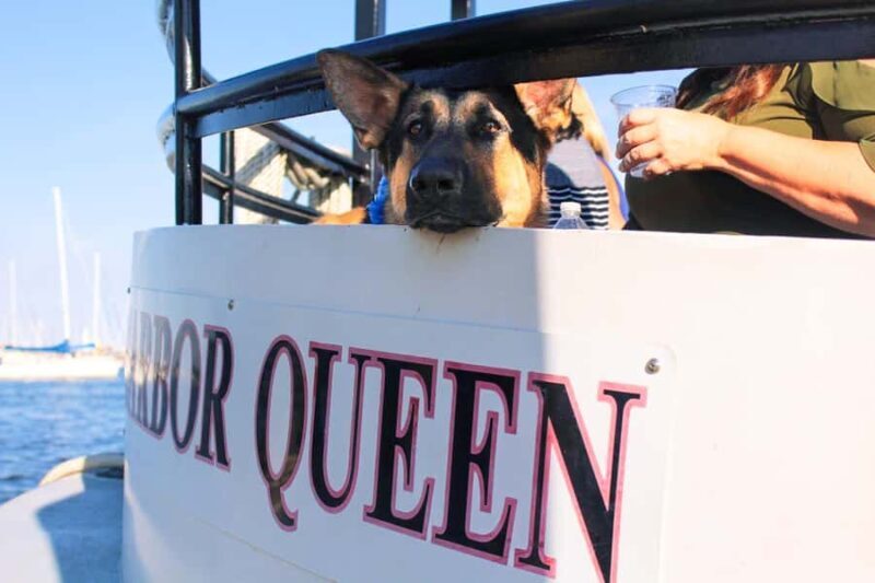 Annapolis Sunset Cruise - Why Travelers Love This Experience