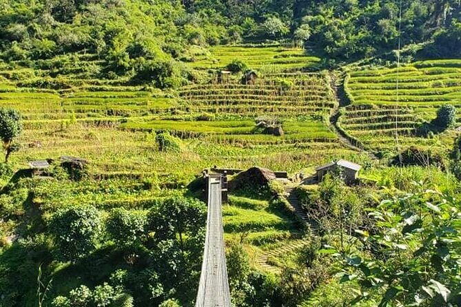 Annapurna Base Camp Trek 12 Days - Reaching Annapurna Base Camp: The Pinnacle