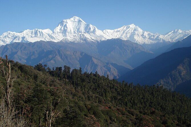 Annapurna Base Camp Trekking - Descent and Relaxation in Jhinu Danda
