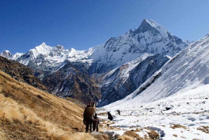Annapurna Base Camp Trekking 5 Days - An In-Depth Look at the Annapurna Base Camp 5-Day Trek