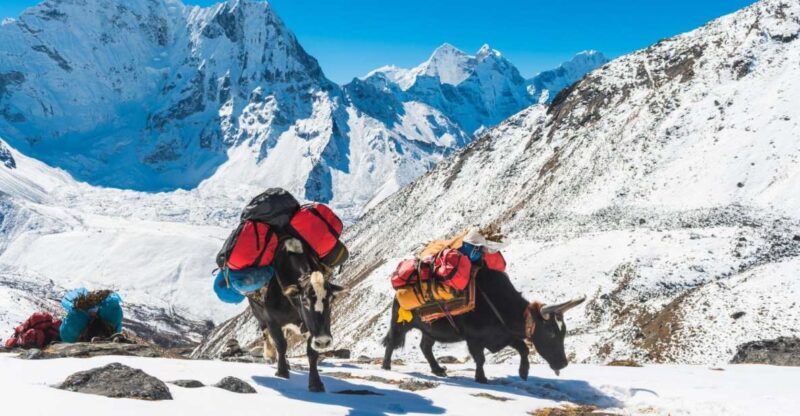 Annapurna circuit and Tilicho lake 17 Days Trek - Who Is This Tour Best For?