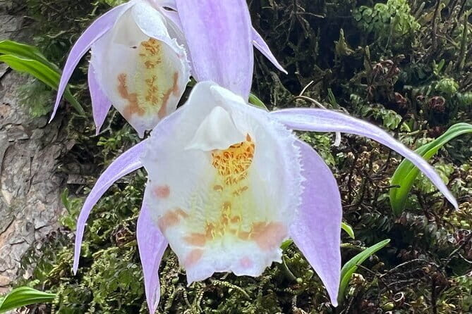 Annapurna Circuit Trek in Nepal (9 Days) - FAQs