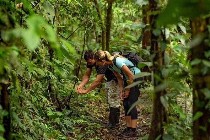 Annapurna Sunset : Hiking to Peace Pagoda via Fewa Lake & Jungle - Final Thoughts