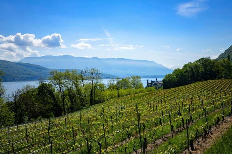 Annecy and Aix les Bains: Mont Revard & Wine Tasting at the Summit - What Makes This Tour Stand Out?