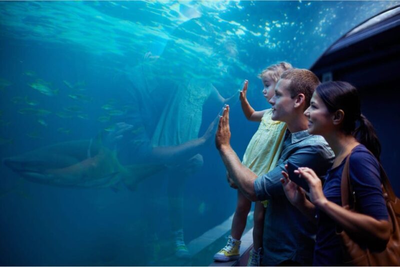 Antalya: Aquarium and Wax Museum Entry Ticket - Authentic Experiences and Visitor Feedback