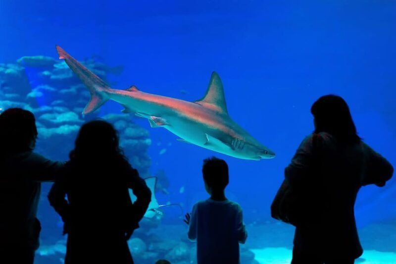 Antalya: Aquarium and Wax Museum Entry Ticket - Who Should Consider This Experience?