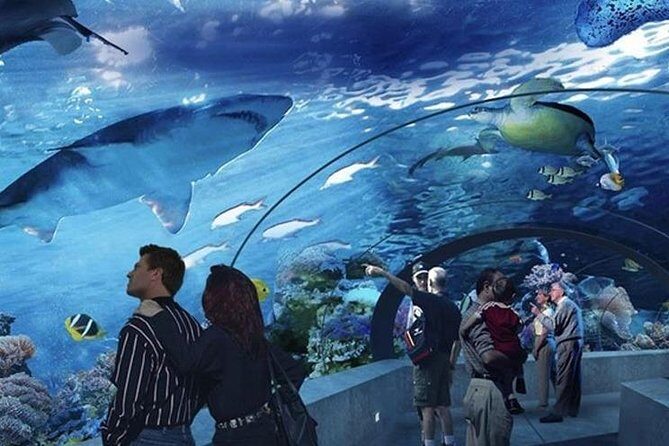 Antalya Aquarium Tour Platinium Tour - A Deep Dive into the Antalya Aquarium Tour Experience