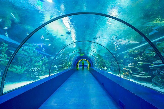 Antalya Aquarium Tour Platinium Tour - The Sum Up: Is the Antalya Aquarium Tour for You?