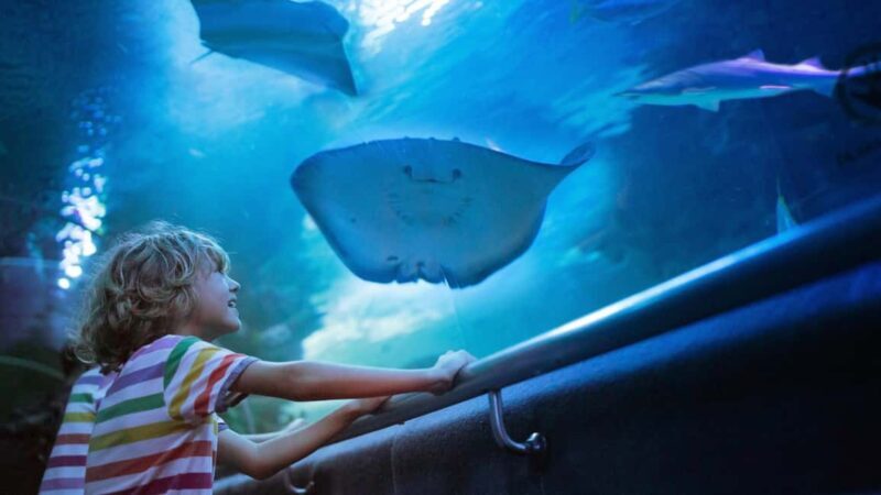 Antalya: Aquarium, Wax Museum, Snow World & Wild Park Ticket - Key Points