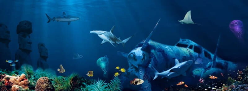 Antalya: Aquarium, Wax Museum, Snow World & Wild Park Ticket - Practical Tips for Visitors