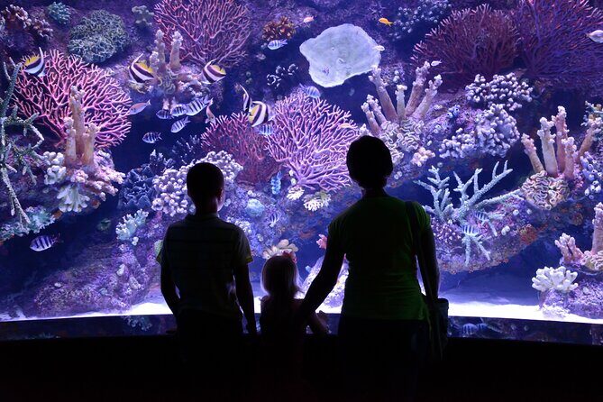 Antalya Aquarium, Wax Museum, Snow World, Wild Park, XD Cinema - Key Points