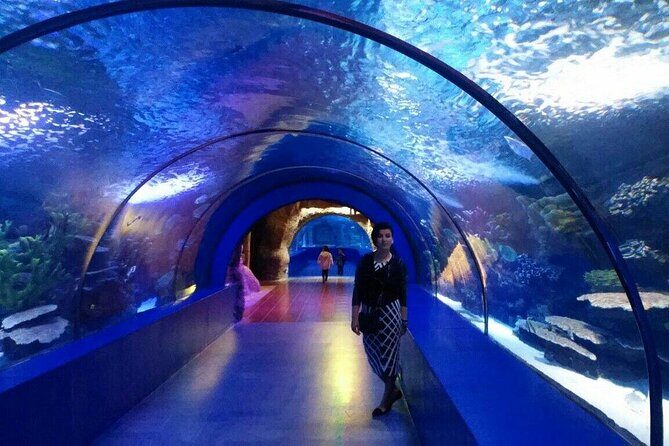 Antalya Aquarium, Wax Museum, Snow World, Wild Park, XD Cinema - Final Thoughts