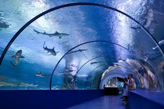 Antalya Aquarium, Wax Museum, Snow World, Wild Park, XD Cinema - FAQ