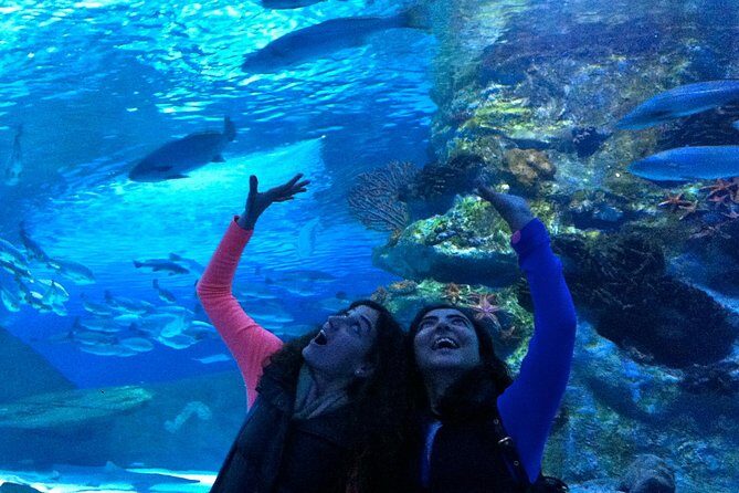Antalya: Aquarium, Wax Museum, Snow World, Wild Park, XD Cinema - Exploring the Antalya Aquarium