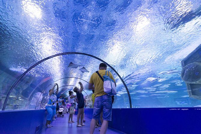 Antalya: Aquarium, Wax Museum, Snow World, Wild Park, XD Cinema - Who Will Enjoy This Tour?