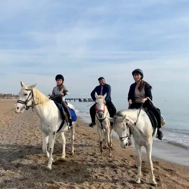 Antalya : Belek , Kundu , Horse Riding - An In-Depth Look at Antalya Horse Riding Tour