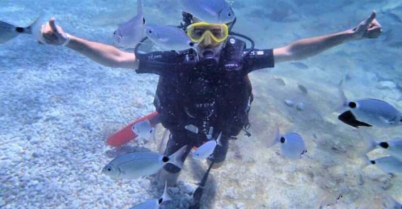 Antalya/ Belek Scuba Diving Tour With 2 Time Dive & Lunch - Key Points