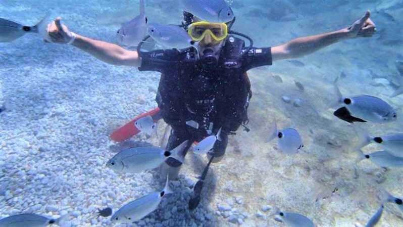 Antalya/ Belek Scuba Diving Tour With 2 Time Dive & Lunch - An In-Depth Look at the Diving Experience