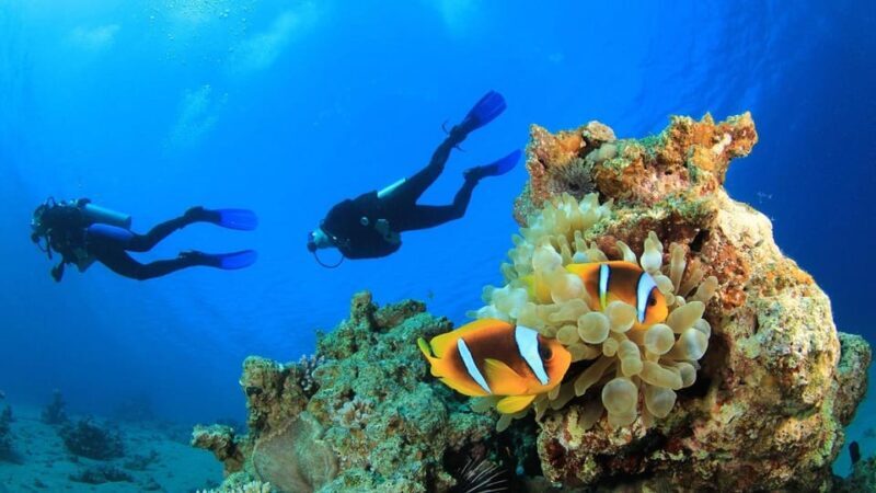 Antalya/ Belek Scuba Diving Tour With 2 Time Dive & Lunch - Frequently Asked Questions