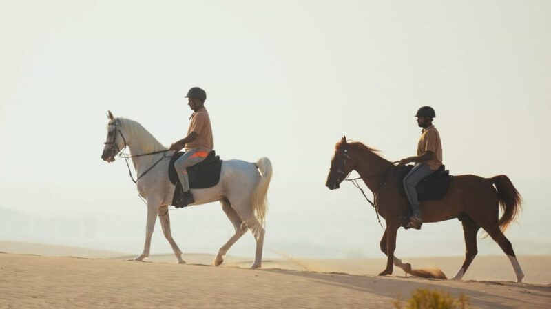 Antalya: Guided ATV and Horse Riding Safari in Lara - Practical Tips for Making the Most of the Tour