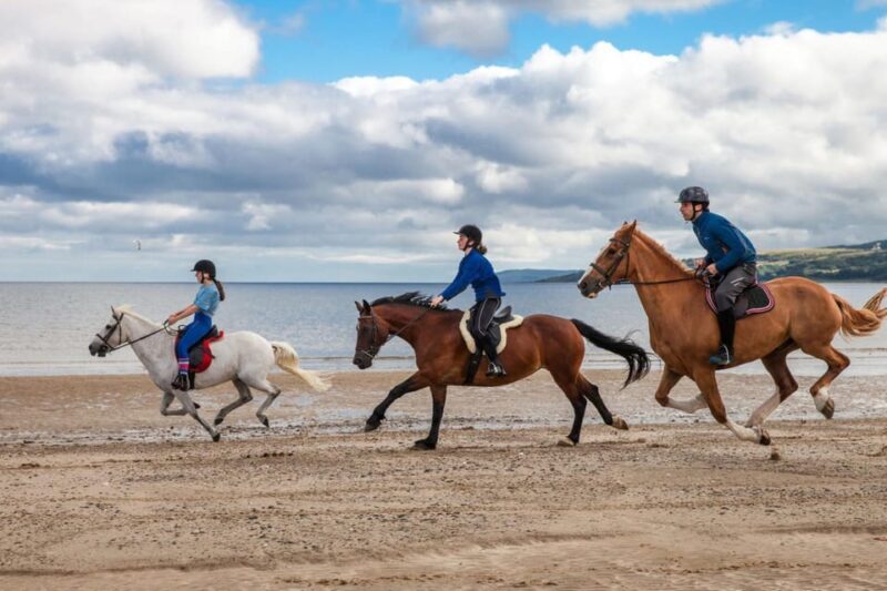 Antalya: Guided ATV and Horse Riding Safari in Lara - FAQ