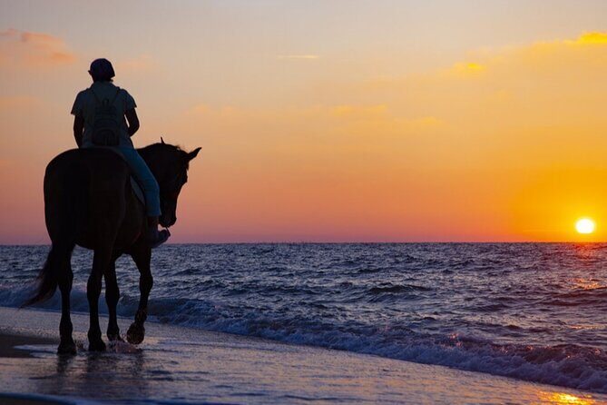 Antalya Horse Riding On Beach And Through The Forests For 2 Hours - Riding on Lara Beach: Sand, Surf, and Serenity