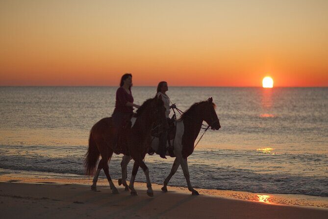 Antalya Horse Riding On Beach And Through The Forests For 2 Hours - Sunrise, Sunset, or Daytime: Choosing Your Moment