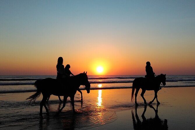 Antalya Horse Riding On Beach And Through The Forests For 2 Hours - Authentic Encounters and Practical Considerations