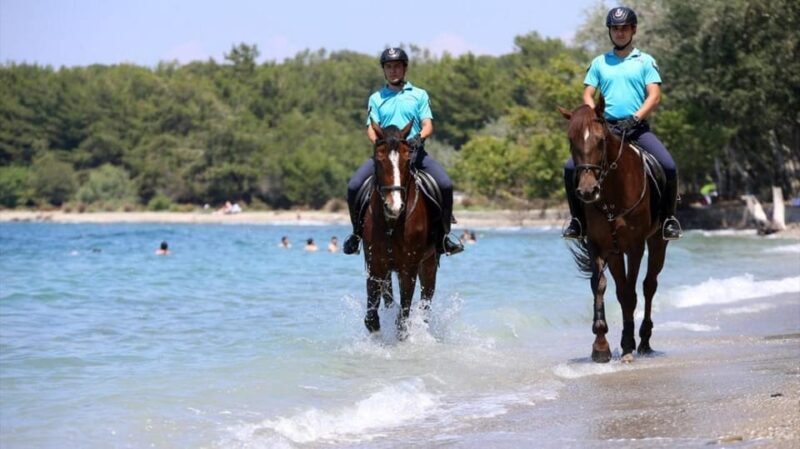 Antalya Horse Safari - Quick overview: what you need to know