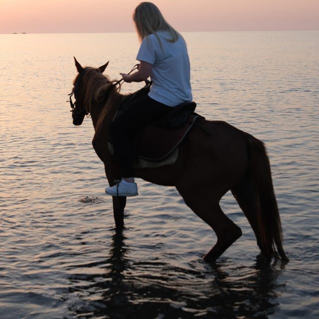 Antalya Horse Safari - Authenticities from reviews: what travelers say