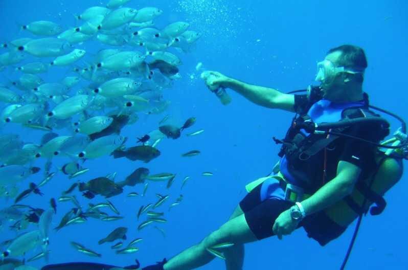 Antalya/ Kemer/ Belek Scuba Diving With Lunch & Transfer - Antalya, Kemer, Belek Scuba Diving With Lunch & Transfer: A Practical Guide for Adventurers