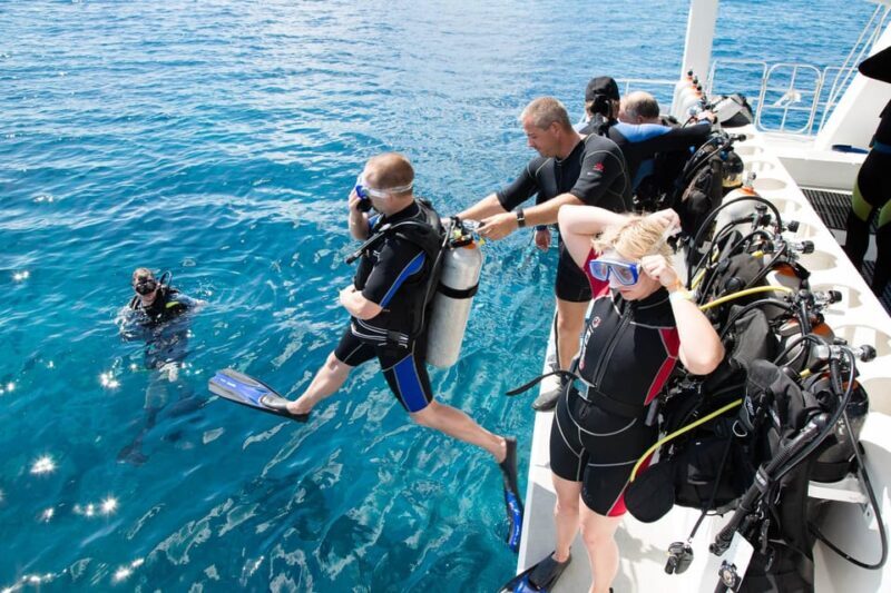 Antalya/ Kemer/ Belek Scuba Diving With Lunch & Transfer - A Closer Look at the Experience