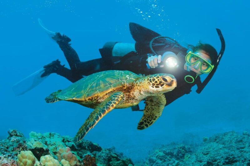 Antalya/ Kemer/ Belek Scuba Diving With Lunch & Transfer - FAQ