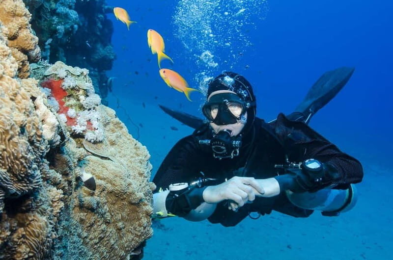 Antalya/Kemer: Scuba Diving Experience with 2 Dives & Lunch - What Makes This Tour Stand Out?