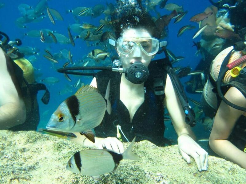 Antalya/Kemer: Scuba Diving Experience with Lunch & Pick up - Key Points