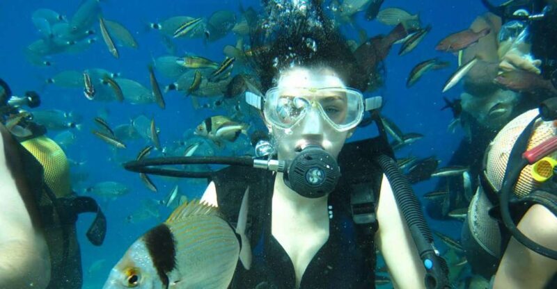 Antalya/Kemer: Scuba Diving Experience with Lunch & Pick up - The Sum Up: Who Should Consider This Tour?