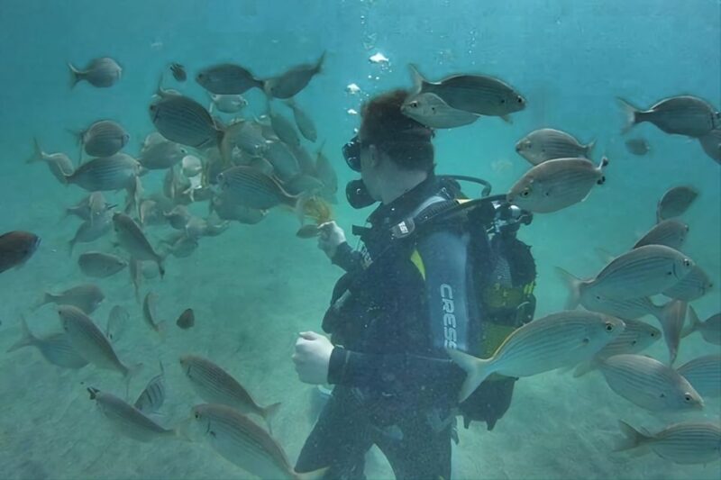 Antalya/Kemer: Scuba Diving Experience with Lunch & Pick up - Frequently Asked Questions