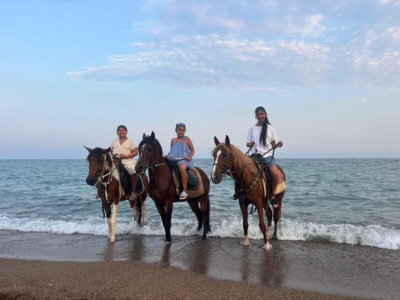 Antalya: Lara Beach & Forrest Horse Riding Safari - Final thoughts