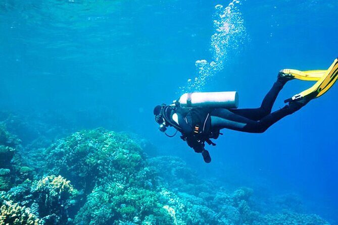 Antalya Scuba Diving With Transfer From Belek,Lara,Kemer Hotels - Authentic Traveler Perspectives