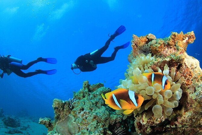 Antalya Scuba Diving With Transfer From Belek,Lara,Kemer Hotels - Is This Tour Right for You?