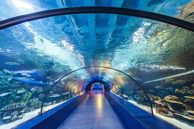 Antalya Tunnel Aquarium - Departure from Side - What Makes This Tour Stand Out