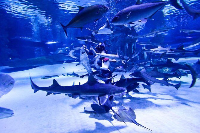Antalya Tunnel Aquarium - Departure from Side - Who Will Enjoy This Tour?