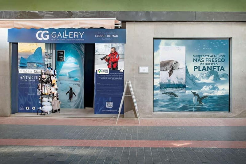 Antarctica Interactive Experience - The Sum Up: A Visual Journey worth Visiting