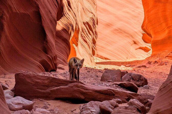 Antelope Canyon/Lake Powell Kayak Rentals: Self-Guided Adventures - FAQ