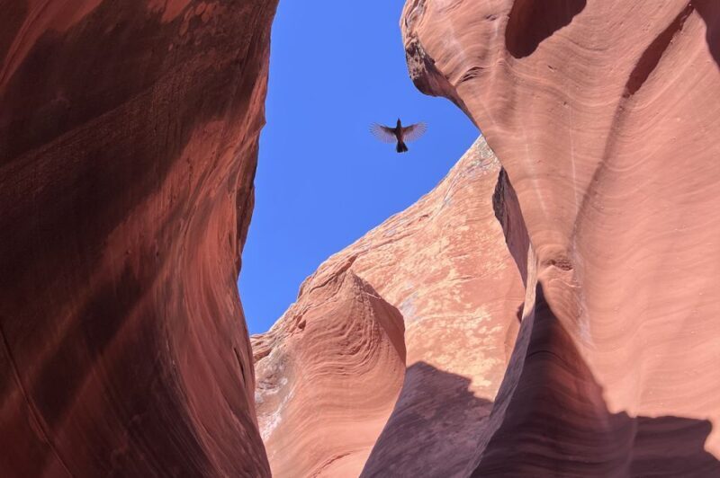Antelope Canyon: Rattlesnake Canyon Tour - In-Depth Review of the Rattlesnake Canyon Tour